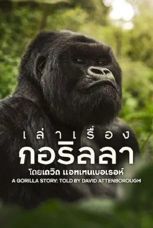 a-gorilla-story-2026-เล่าเรื่องกอริลลา-โดยเดวิด-แอทเทนเบอเรอห์-เซอร์เดวิด