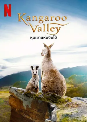 Kangaroo Valley หุบเขาแห่งจิงโจ้ 2022
